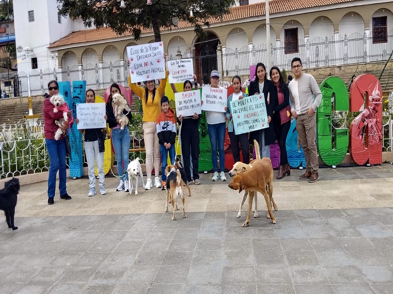 Ayabaca: envenenamiento masivo de perros indigna a la población 